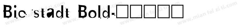 Bierstadt Bold字体转换